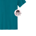 Teal - PC43 - FRONT