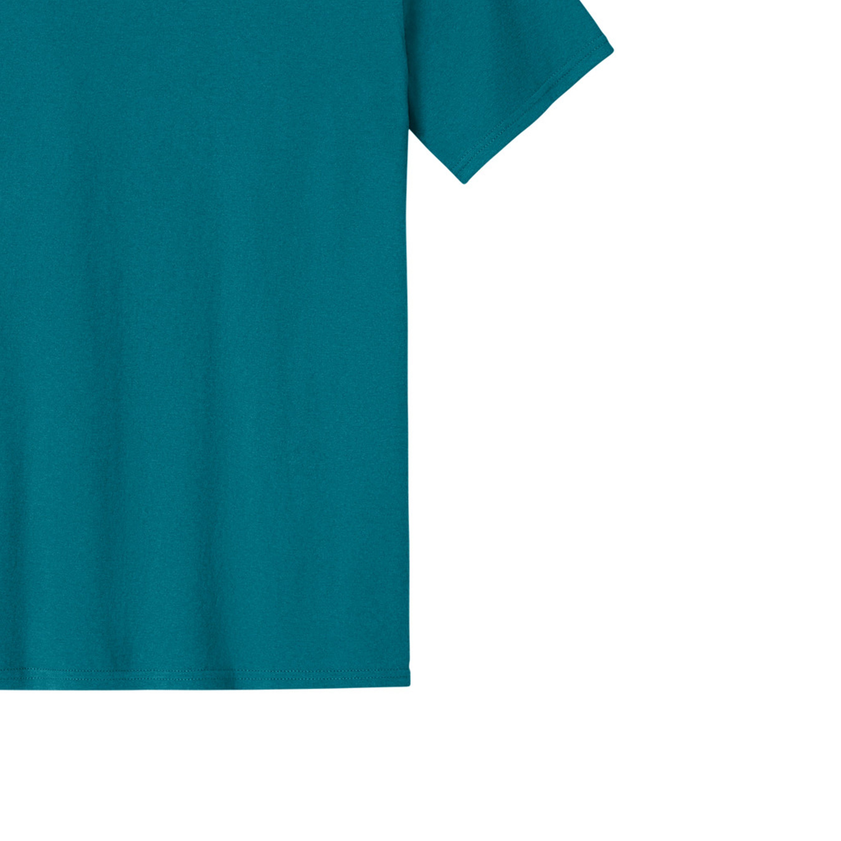 Teal - PC43 - BACK